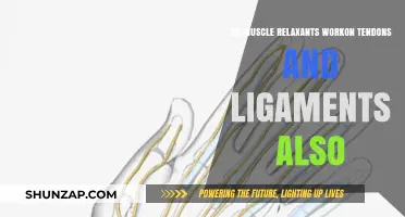 Muscle Relaxants: Do They Affect Tendons and Ligaments Too?