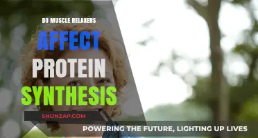 Muscle Relaxers and Protein Synthesis: Impact on Muscle Growth Explained