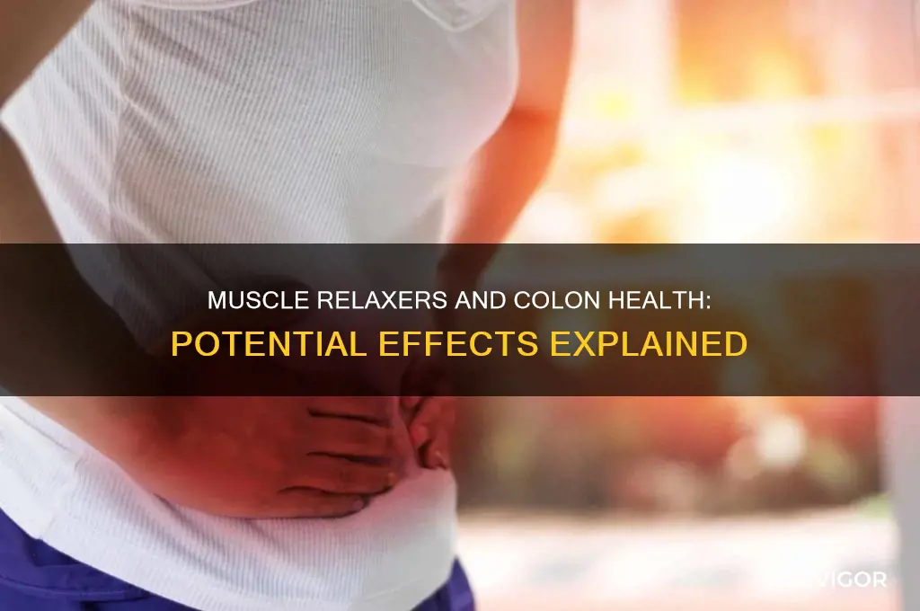 do muscle relaxers affect the colon