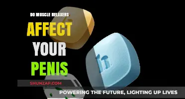 Muscle Relaxers and Penile Function: What You Need to Know