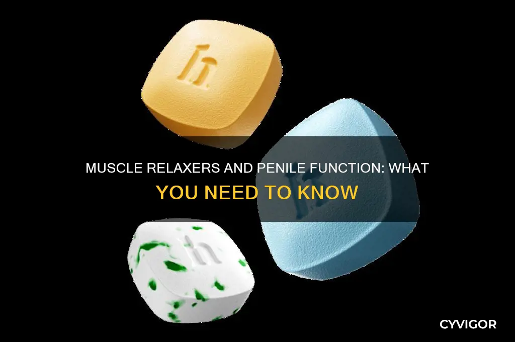 do muscle relaxers affect your penis
