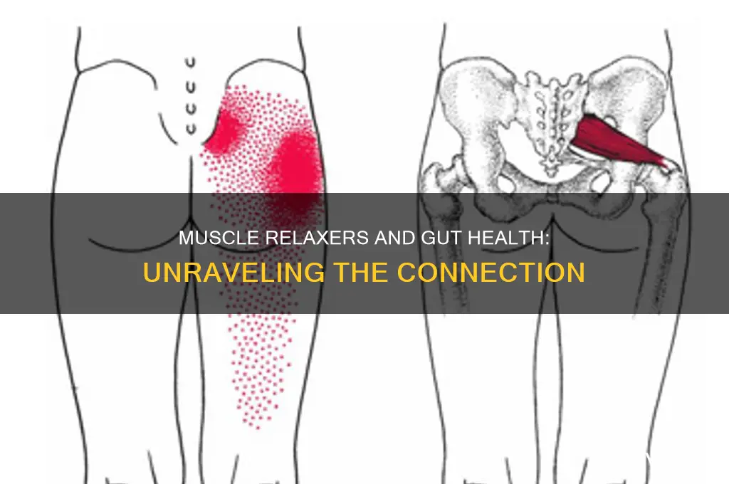 do muscle relaxers also relax your gut