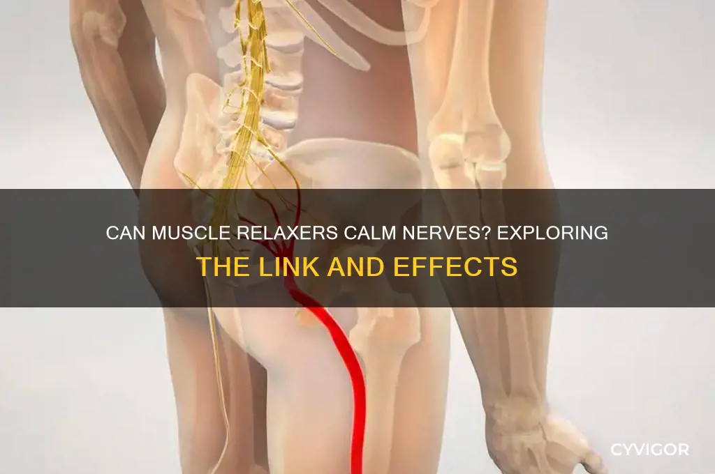 do muscle relaxers calm nerves