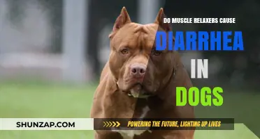 Muscle Relaxers and Diarrhea in Dogs: What's the Link?