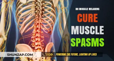 Do Muscle Relaxers Cure Spasms? Understanding Treatment and Relief