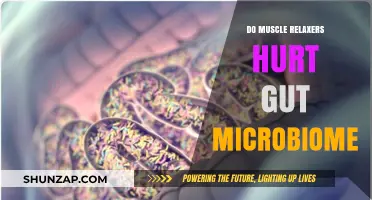 Muscle Relaxers and Gut Health: Impact on Your Microbiome Explained