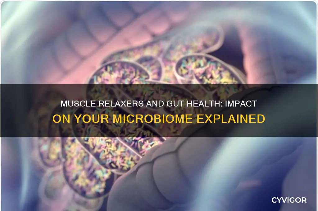 do muscle relaxers hurt gut microbiome