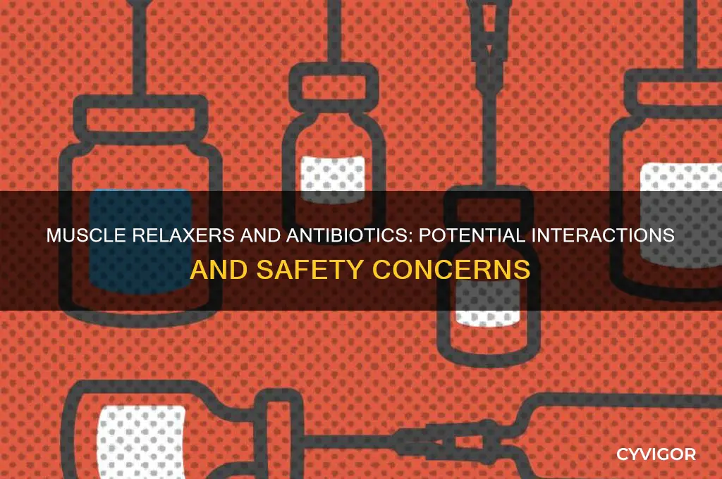 do muscle relaxers interact with antibiotics