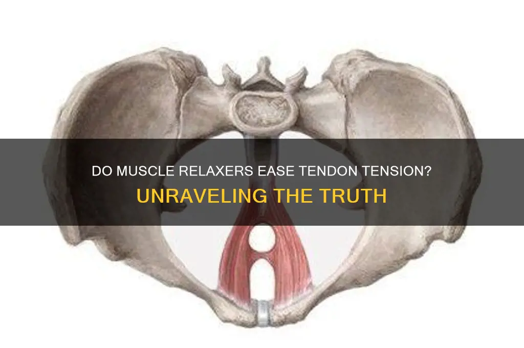 do muscle relaxers relax tendons