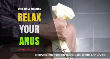 Muscle Relaxers and Anal Relaxation: What You Need to Know