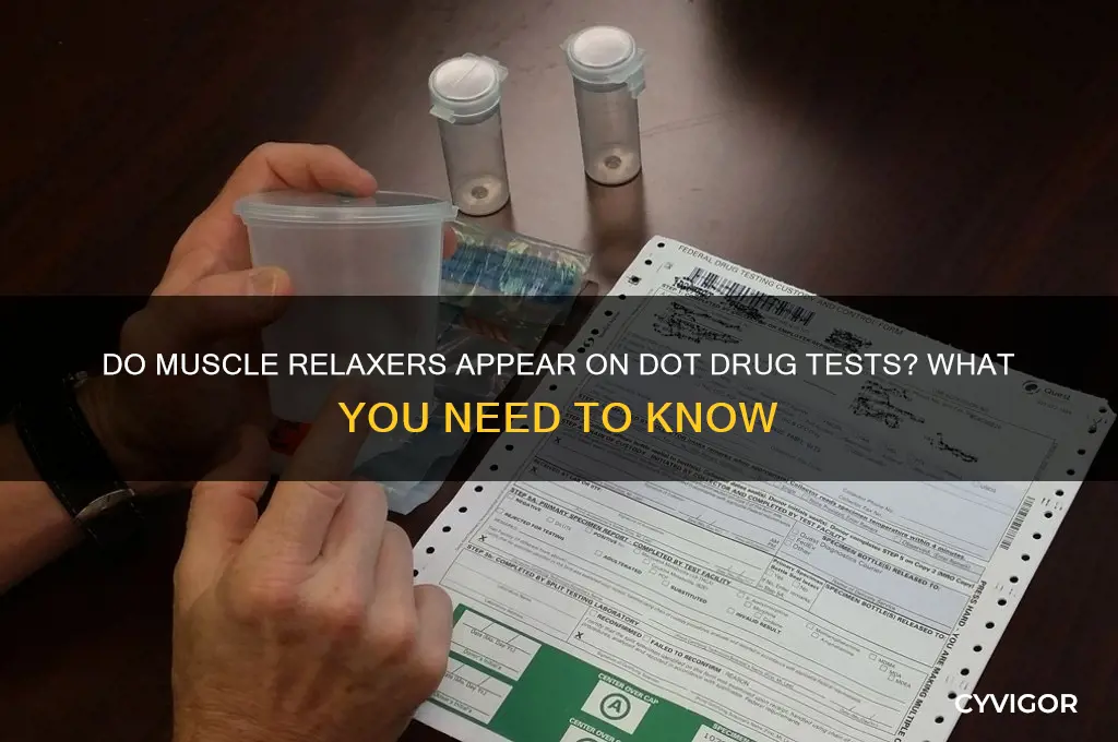 do muscle relaxers show up on a dot drug test