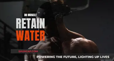 Muscle Water Retention: What, Why, and How?
