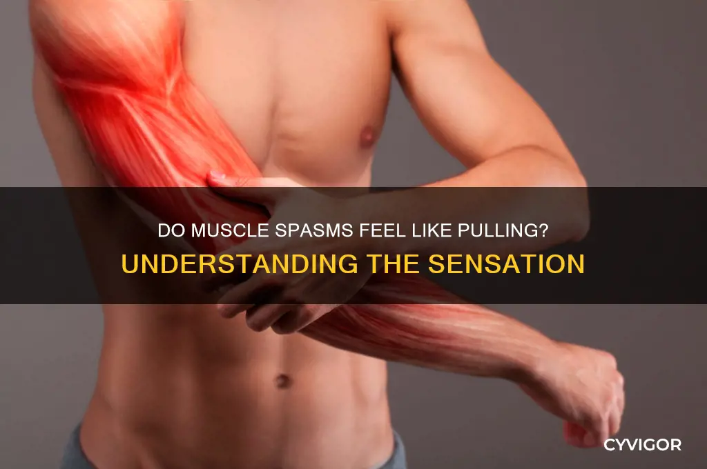 do muscle spasms feel like pulling