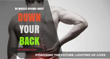 Understanding Muscle Spasms: Can They Radiate Down Your Back?