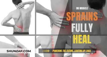 Healing Muscle Sprains: Can You Fully Recover?