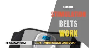 Do Muscle Stimulation Belts Deliver Results? Separating Fact from Fiction