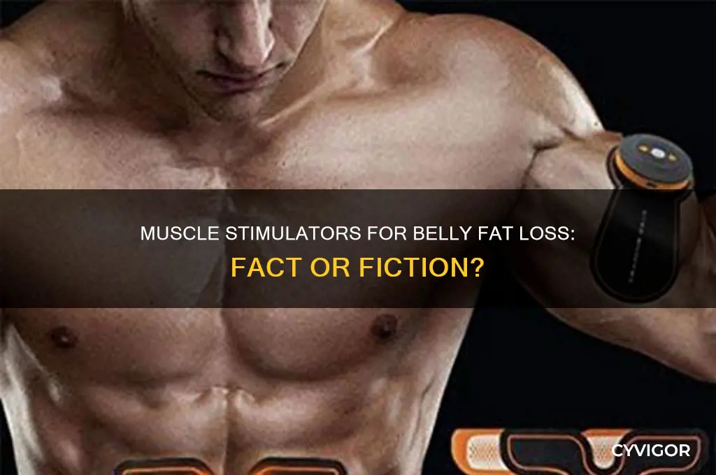 do muscle stimulators actuall work in losing belly fat
