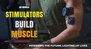 Can Muscle Stimulators Really Build Muscle? The Truth Revealed