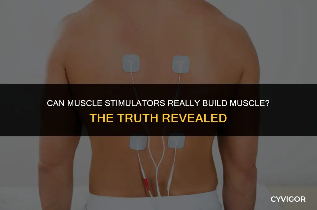 do muscle stimulators build muscle