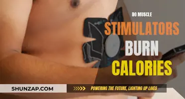 Do Muscle Stimulators Help Burn Calories?