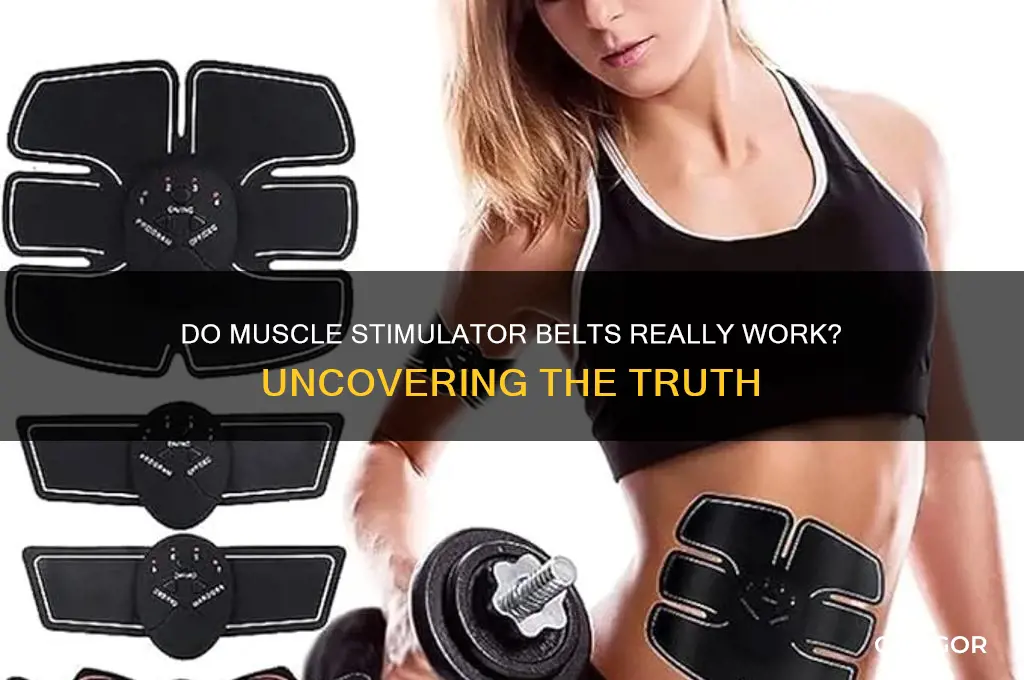 do muscle stimulators work belt