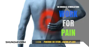 Do Muscle Stimulators Really Relieve Pain? A Comprehensive Review