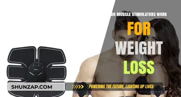 Muscle Stimulators for Weight Loss: Effective Tool or Just Hype?