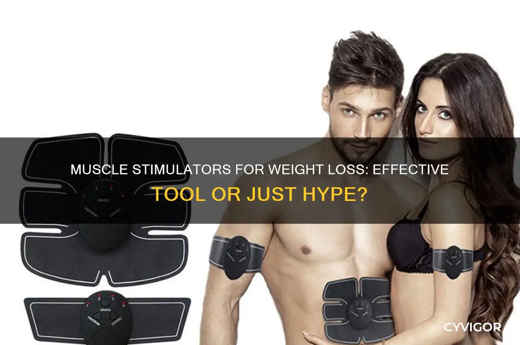 do muscle stimulators work for weight loss