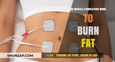 Muscle Stimulators for Fat Loss: Effective Tool or Myth?