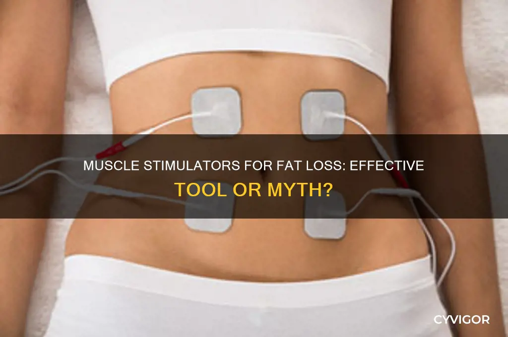 do muscle stimulators work to burn fat