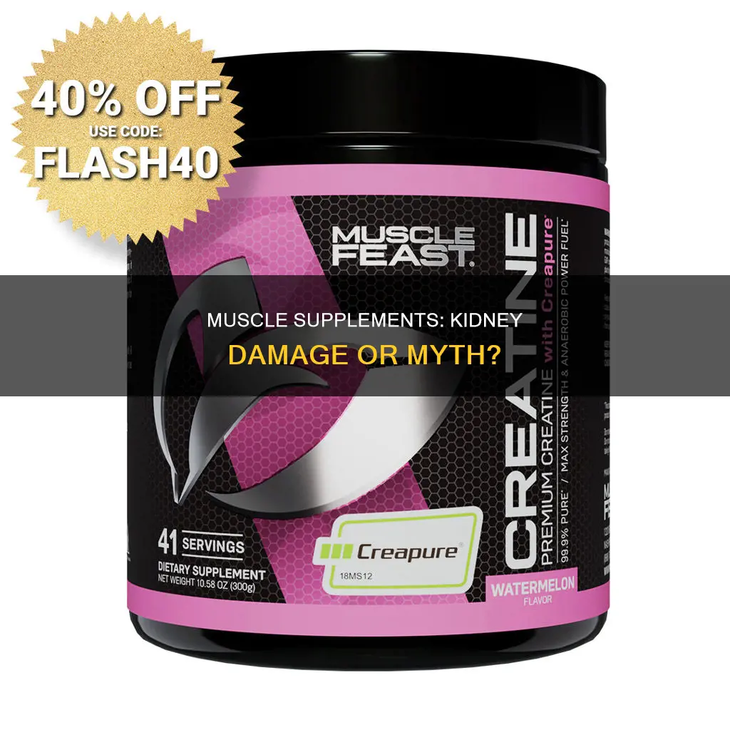 do muscle supplements damage kidneys