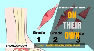 Can Muscle Tears Heal on Their Own? Understanding the Recovery Process