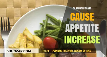 Muscle Tears: Appetite Increases and Healing
