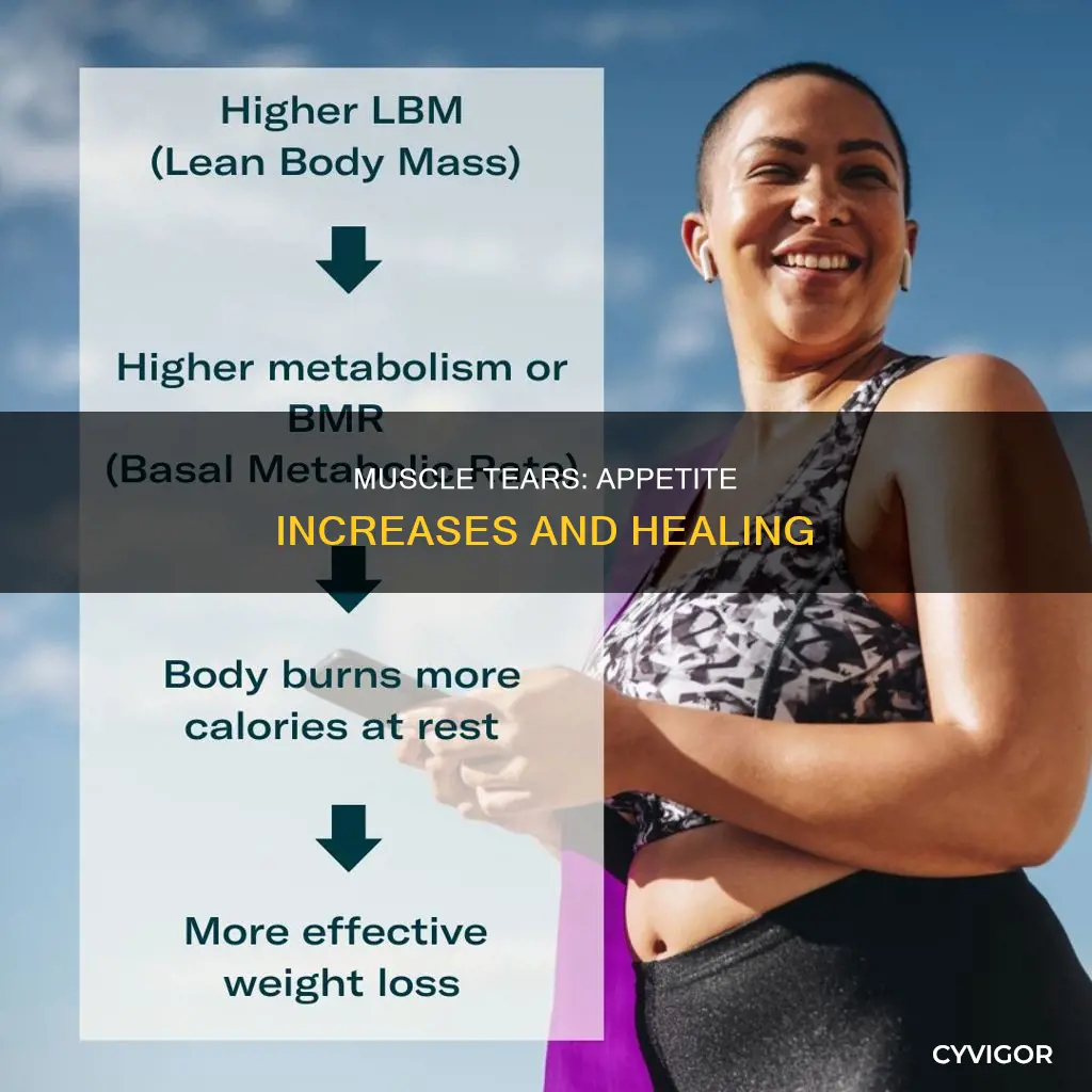 do muscle tears cause appetite increase