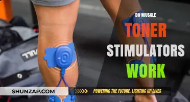 Do Muscle Toner Stimulators Deliver Real Results? A Critical Review