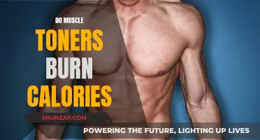 Muscle Toners: Do They Help Burn Calories?