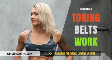 Do Muscle Toning Belts Deliver Results? Separating Fact from Fiction