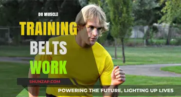 Do Muscle Training Belts Deliver Results? Separating Fact from Fiction