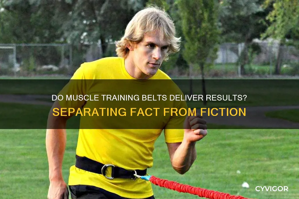 do muscle training belts work
