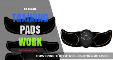 Do Muscle Training Pads Deliver Results? A Comprehensive Review