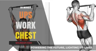 Muscle Ups and Chest Workouts: Effective or Overrated?