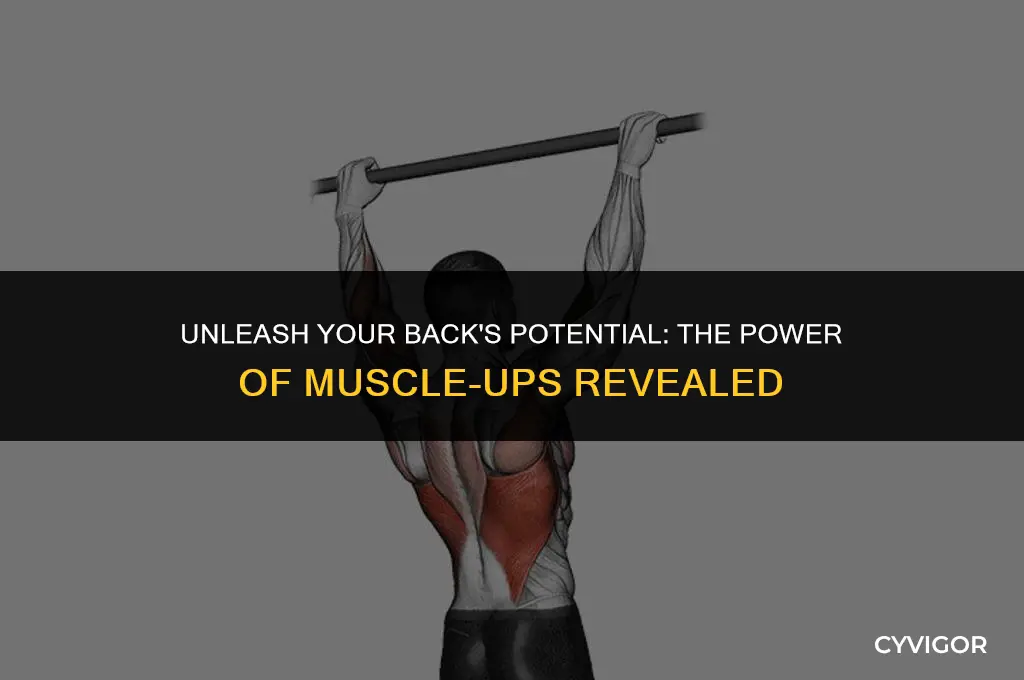 do muscle ups workout your back