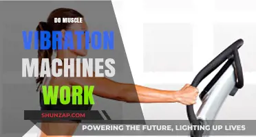 Do Muscle Vibration Machines Deliver Results? Separating Fact from Fiction