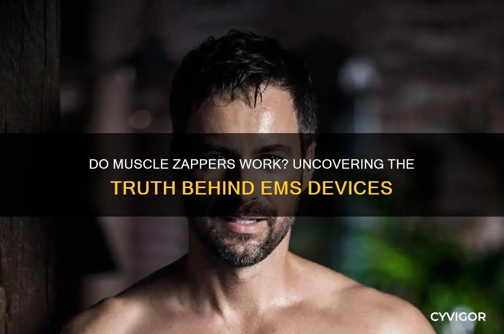 do muscle zaapers work