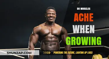Muscle Growth and Soreness: Understanding Post-Workout Aches and Pains