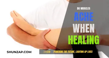 Muscle Aches: Healing and the Pain Connection