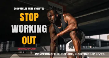Why Muscles Ache When You Stop Working Out: Explained
