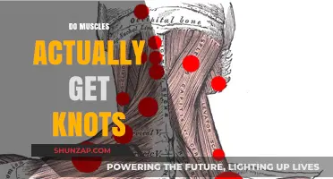 Unraveling the Mystery: Do Muscles Really Get Knots?