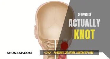 Unraveling Muscle Mysteries: Do Knots Exist?