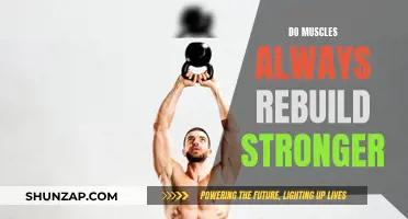Muscle Rebuilding: Getting Stronger After Each Workout